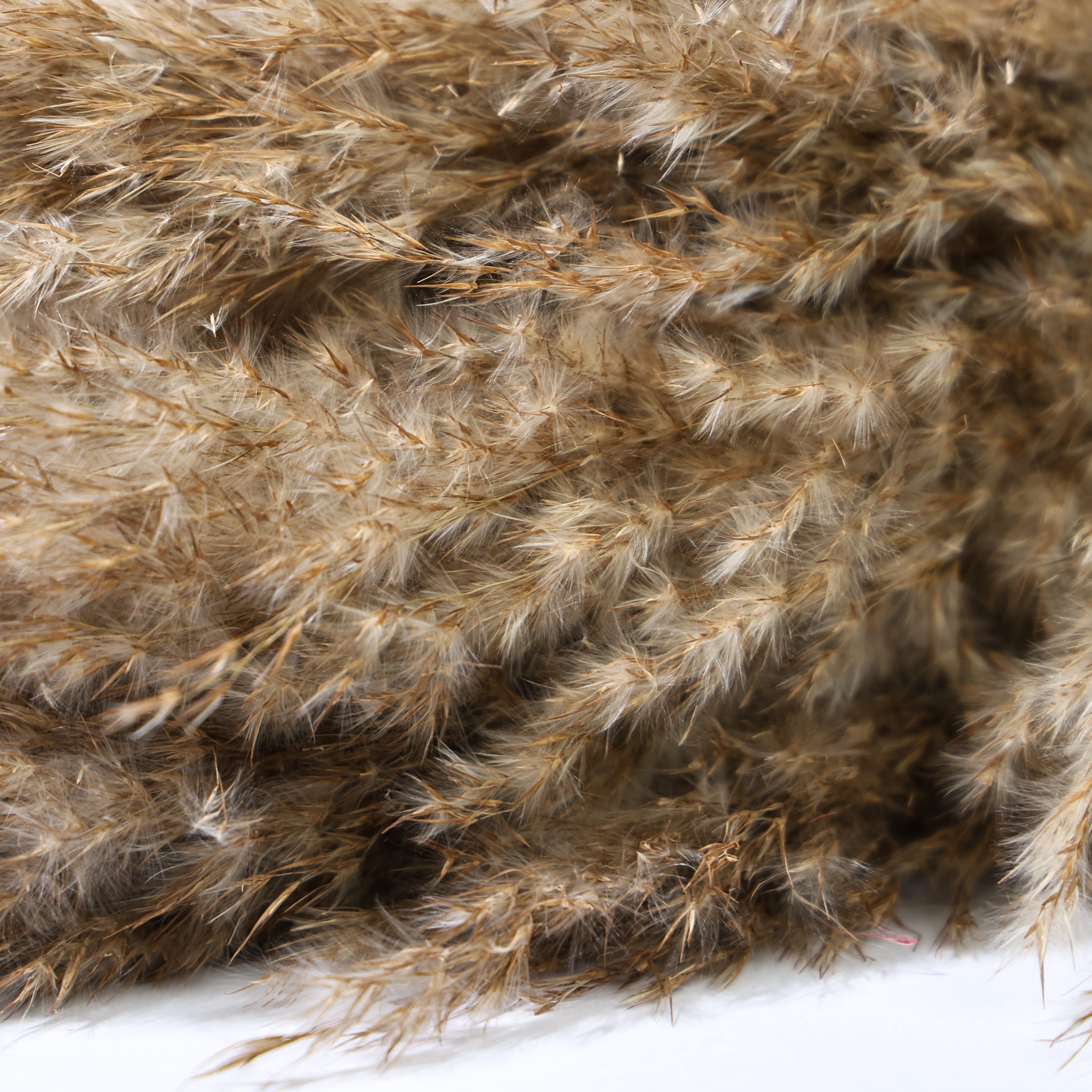 Dried Pampas Grass - White