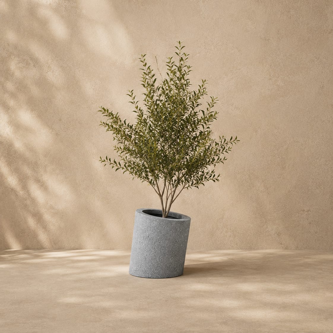 Ferro Planter