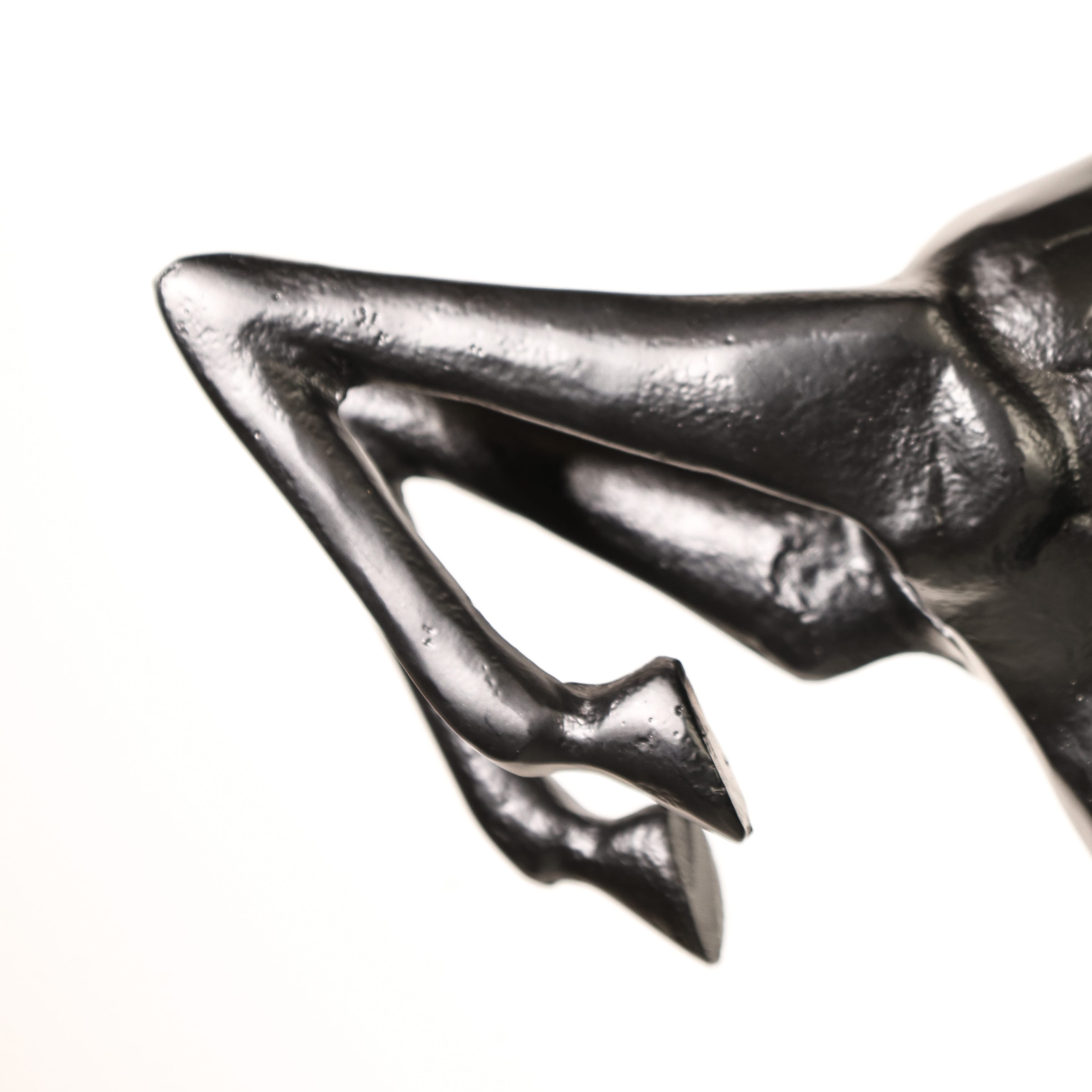 Rear Black Horse
